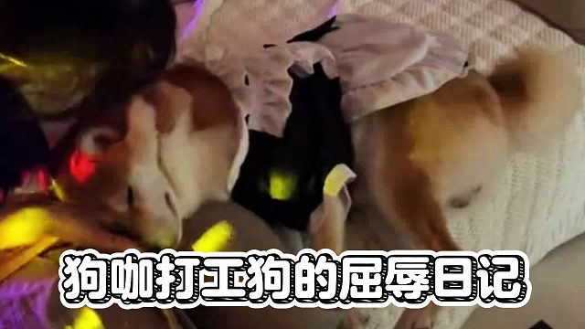 第一次打工的小狗，遇到变态顾客