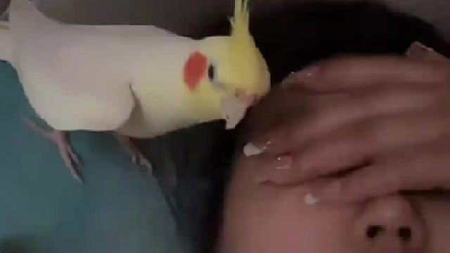 我锁你喉，睡懒觉是不是犯法