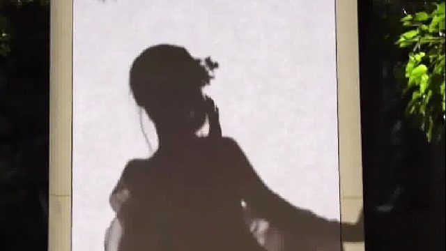 挑战美人入画！