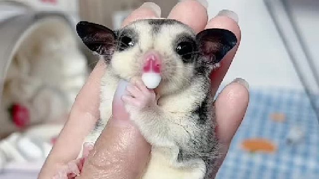 喝个奶怎么还能被定住了呢