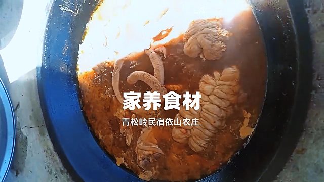 承德青松岭民宿依山农庄食材家养农家菜美味健康-民宿汇
