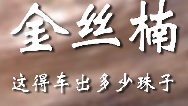 宝友这一搞就搞这么大一棵啊！？