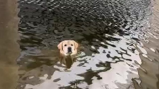 天气热了，开启泡澡了