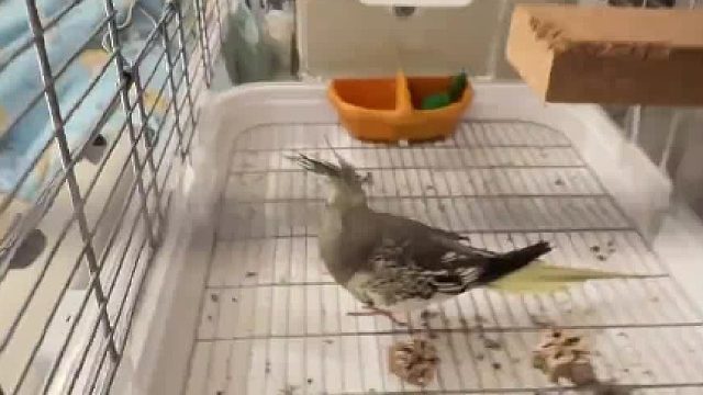 菜鸟：你最好晚上睁着眼睡觉