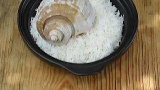 小胖和小花你們更喜歡哪一個(gè)？