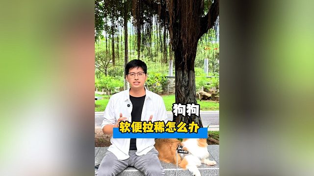 狗狗总是软便拉稀怎么办？