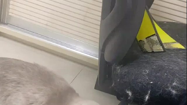 母老虎刚打完孩子准备打老公的时候，误入战场的你