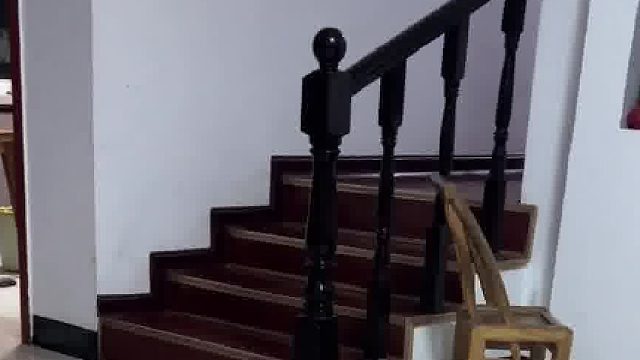 挑狗时老板说这是最老实的一只，以后再也不相信老板的话了