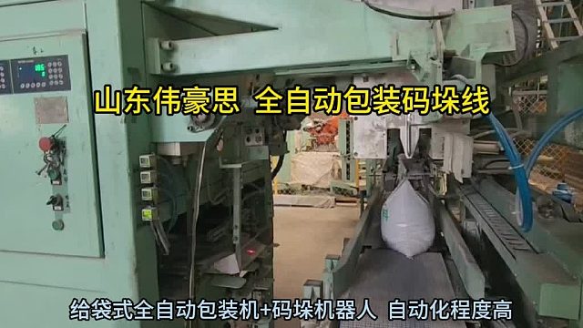 PE粉料自动包装码垛机 全自动包装码垛流水线 山东伟豪思
