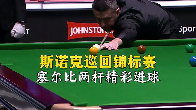 斯诺克巡回锦标赛，塞尔比两杆精彩进球