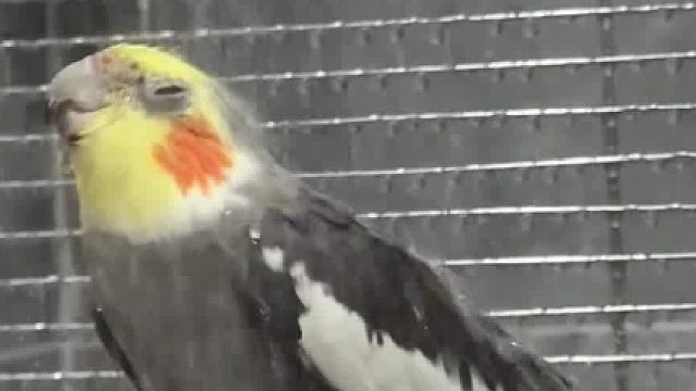 我只记得那天雨很大