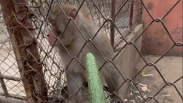 一点都不配合，越来越敷衍了