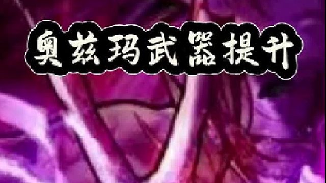 奥兹玛武器提升，谁才是版本之子