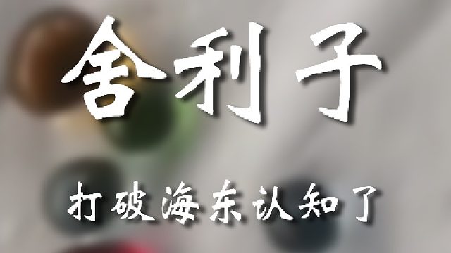 不是老弟？你是认真的吗？？？