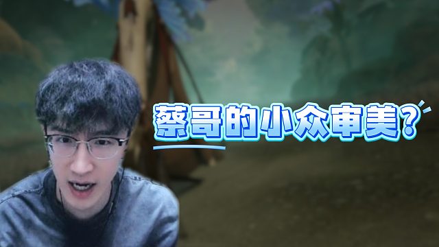 蔡哥的小众审美？