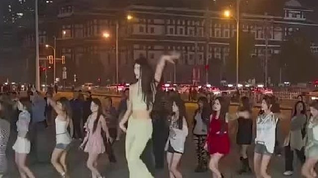 一匹夏尔马闯进了蒙古草原的马群中