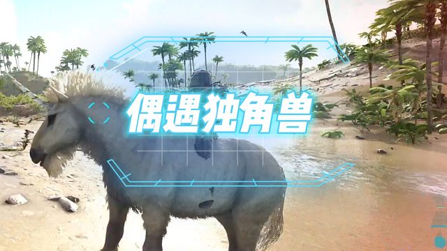 方舟生存进化 孤岛第5集