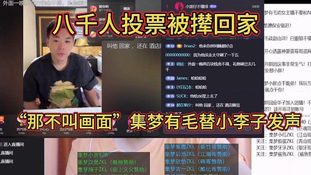 集梦有毛替小李子发声，被八千人投票走了那叫啥画面？