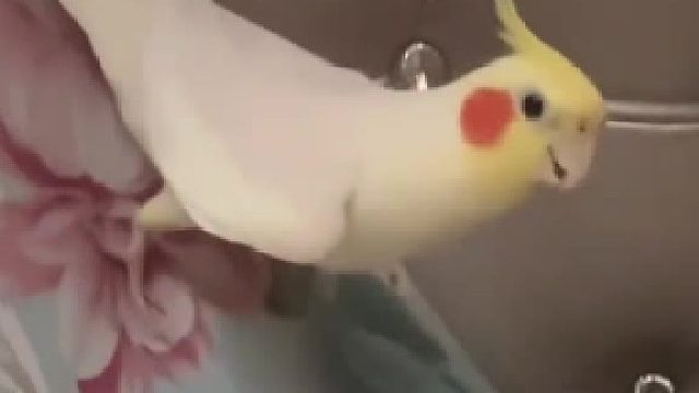 现在是早上5点过啊大哥