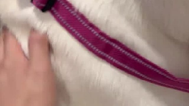 102斤的承重墙又拽起来了