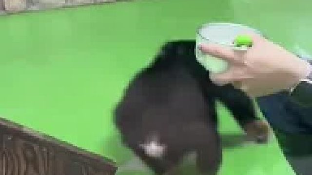 摸一摸“我”的头毛还在。 __