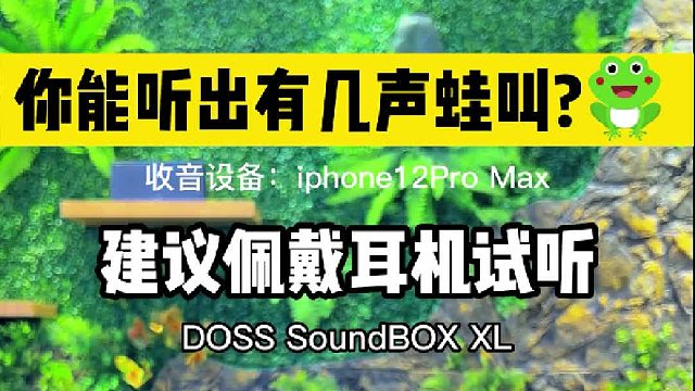 你能听出音响还原出有几声蛙叫声？