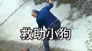 狗子落水無力上岸