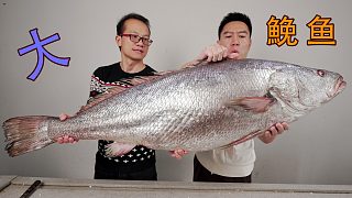40幾斤的大鮸魚，切開肚子把我震驚了，這也太狠了