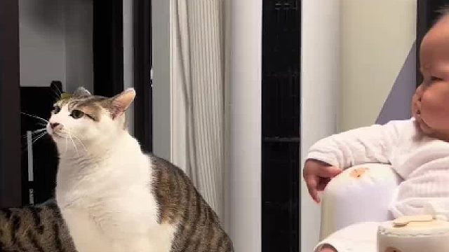 宝爸上课之精气神，我看就宝爸天天懒