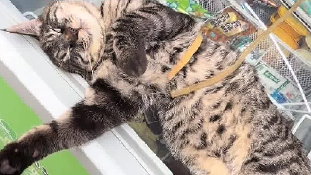 老板娘说每天都要提很多遍