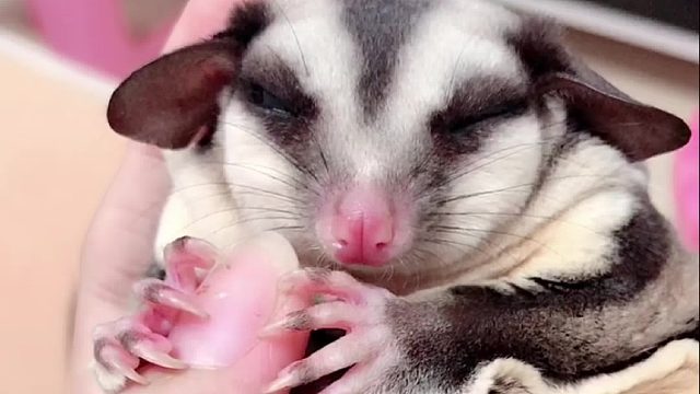 抱够了没有吖！手指可以还我了不！