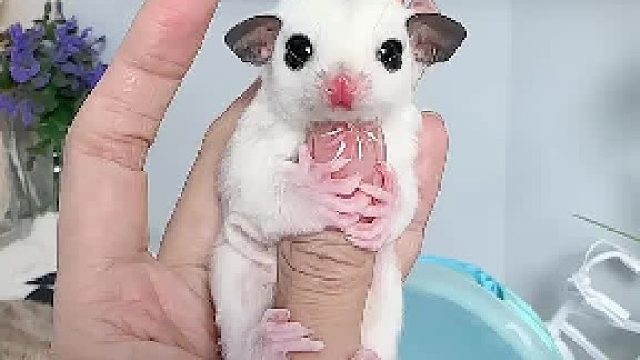 几天没看，又长大了，太好看了