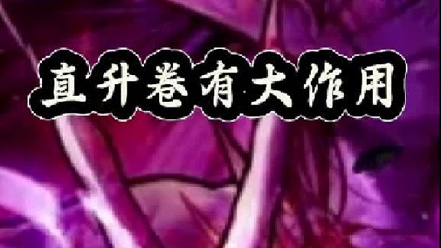 直升卷有大作用，如何快速拉满角色（2）