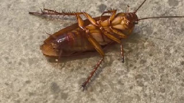 救命啊，谁来救救我