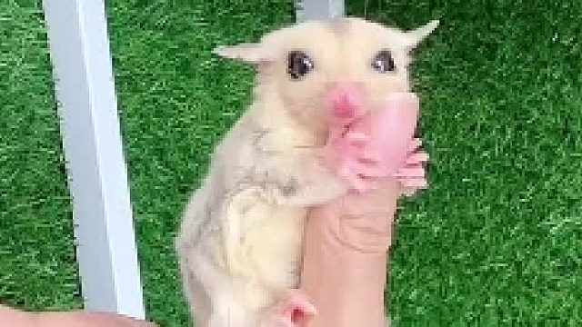 旧蜜翻新，去新家了，蜜生幸福哦