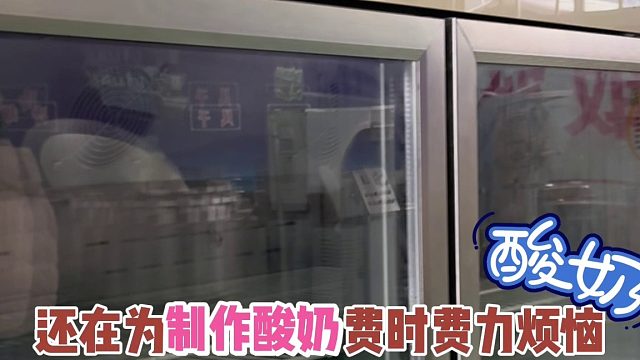 双开门酸奶机老酸奶发酵箱炭烧酸奶专用设备酸奶菌种恒温发酵柜