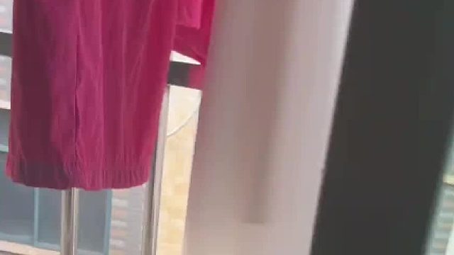 猫：不是说好不打吗