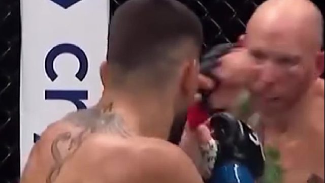 托普利亚 vs. 羽量级全明星，谁会赢？