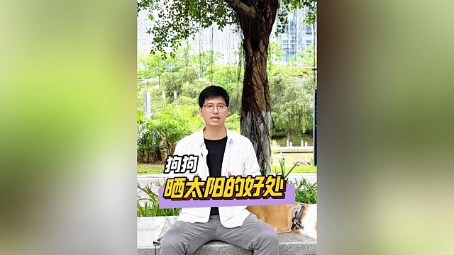 狗狗晒太阳有啥好处呢？让狗狗更健康