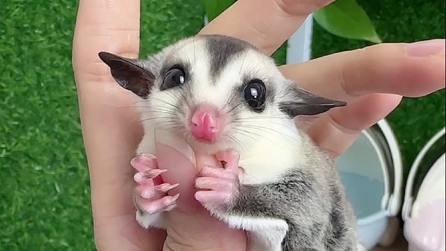 爱发呆的小孩儿～小脑袋瓜在想什么呢？