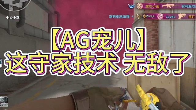 【AG宠儿】这守家技术 无敌了