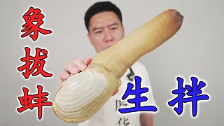 全網(wǎng)首測！A蚌新吃法，玩出新花樣