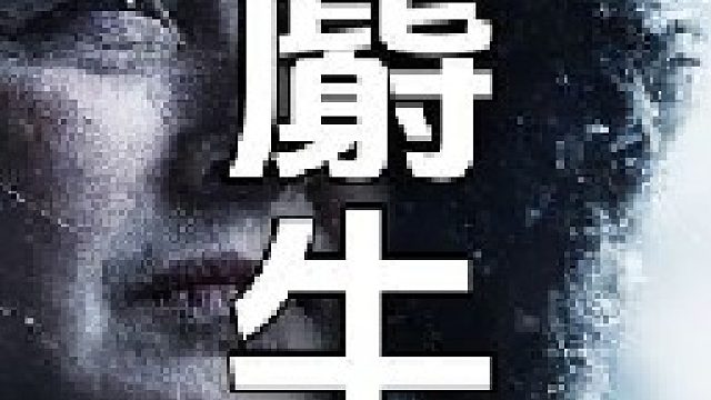 这是一头重量超过磅的雄性麝牛温暖的牛皮可以做成地毯用