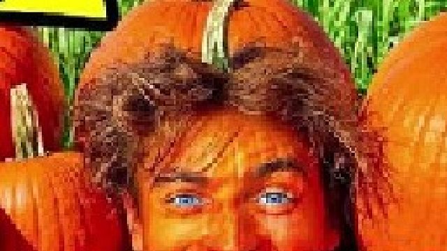 4个人和专业的赏金猎人玩伪装捉迷藏，谁能躲藏到最后