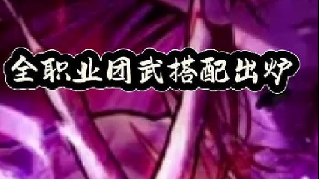 全职业团武搭配出炉，本命甲崛起