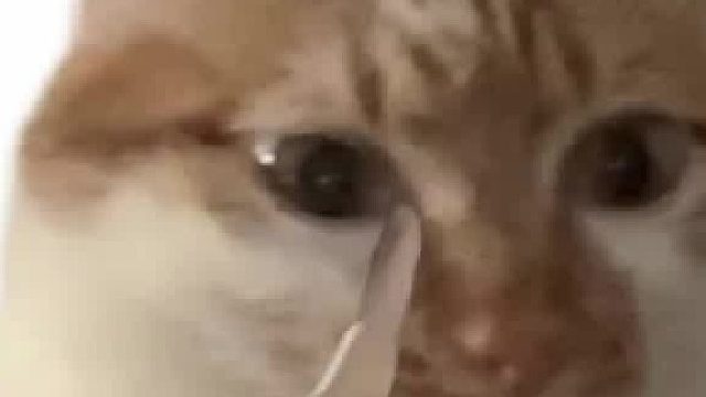 注意！闲杂人等请离开！