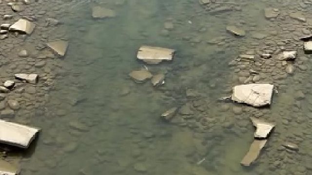 我是说水里什么一闪一闪的～全是鱼