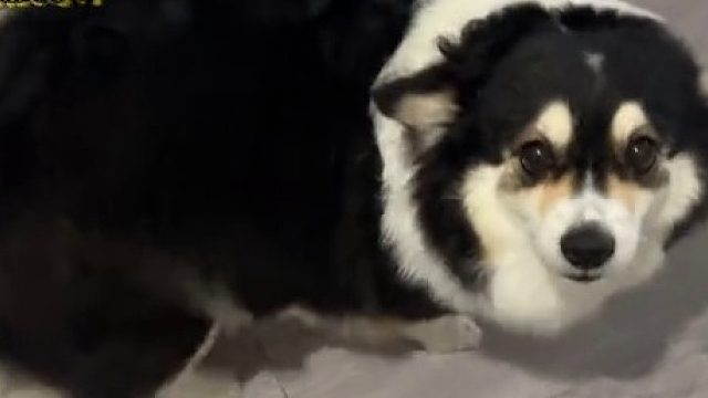 赶紧摸吧一会儿摇力竭了 __