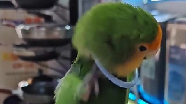 看我的项链漂亮吗