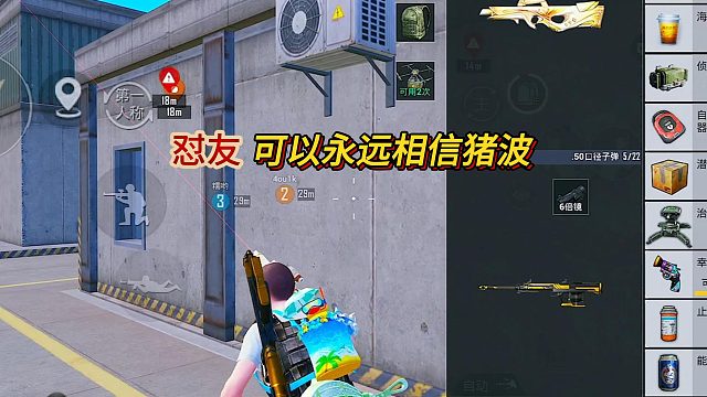 怼友 你可以永远相信猪波